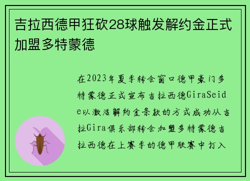 吉拉西德甲狂砍28球触发解约金正式加盟多特蒙德