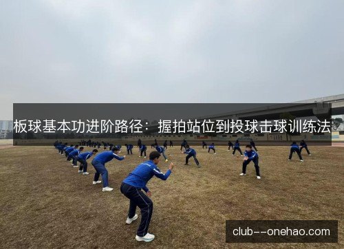 板球基本功进阶路径：握拍站位到投球击球训练法